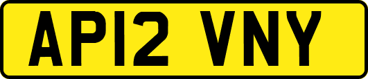 AP12VNY
