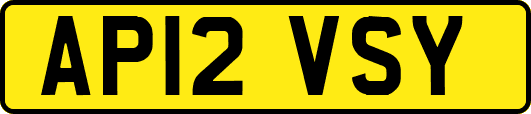 AP12VSY