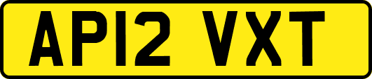 AP12VXT
