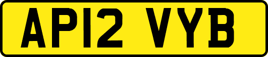 AP12VYB
