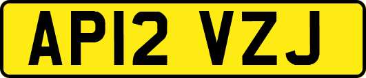 AP12VZJ
