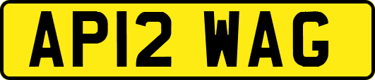 AP12WAG