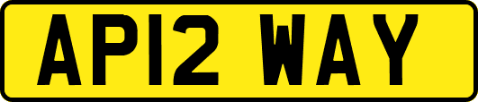 AP12WAY