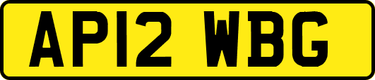 AP12WBG