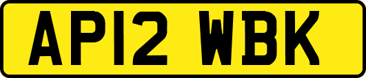 AP12WBK