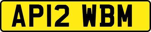 AP12WBM