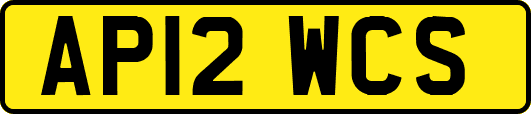 AP12WCS