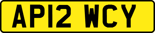 AP12WCY