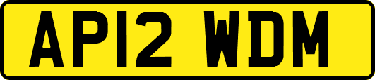 AP12WDM