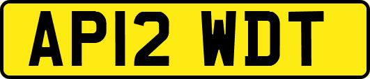 AP12WDT