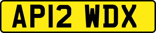 AP12WDX