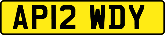 AP12WDY