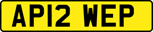 AP12WEP
