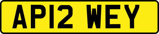 AP12WEY