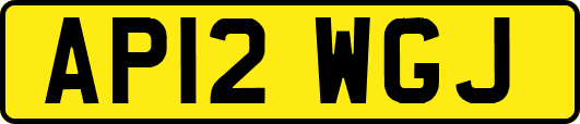 AP12WGJ