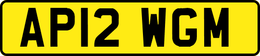 AP12WGM