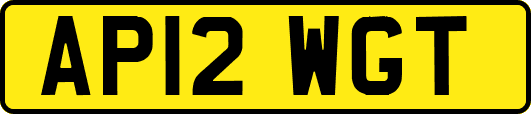 AP12WGT