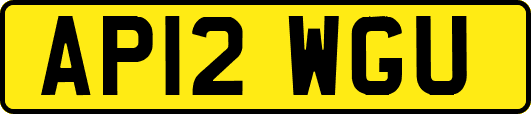 AP12WGU