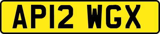 AP12WGX
