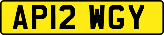 AP12WGY