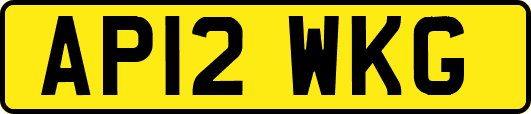 AP12WKG