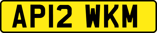 AP12WKM