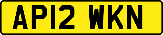 AP12WKN