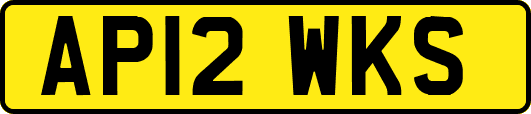 AP12WKS