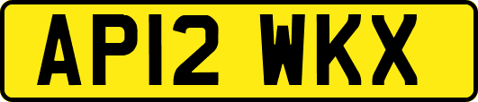 AP12WKX