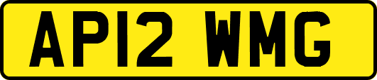 AP12WMG