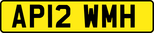 AP12WMH