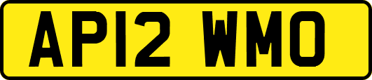 AP12WMO