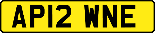 AP12WNE