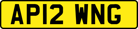 AP12WNG