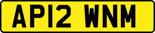 AP12WNM