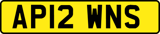 AP12WNS