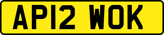 AP12WOK