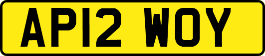 AP12WOY