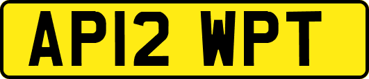 AP12WPT