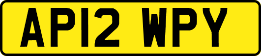 AP12WPY