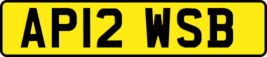 AP12WSB