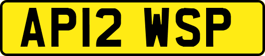 AP12WSP