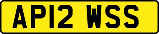 AP12WSS