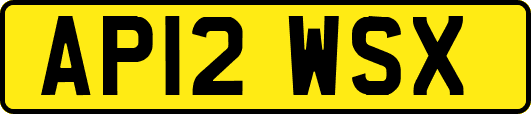 AP12WSX