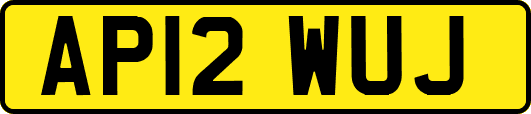 AP12WUJ