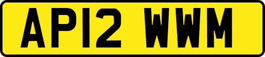 AP12WWM
