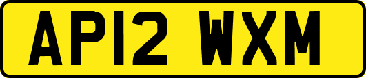 AP12WXM