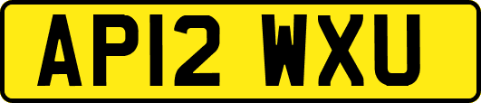 AP12WXU