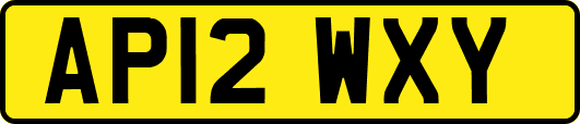 AP12WXY
