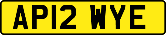 AP12WYE